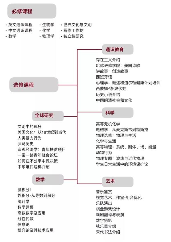 北京大學(xué)附屬中學(xué)國(guó)際高中課程設(shè)置圖