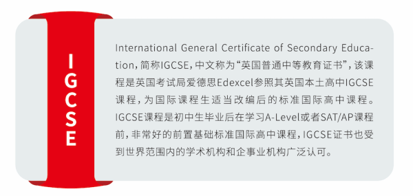 IGCSE課程
