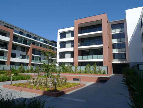St Ives Park Primary Schoollogo圖片