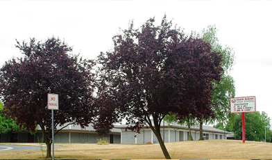 Eastern Fleurieu Schoollogo圖片