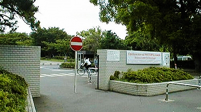 千葉大學logo圖片