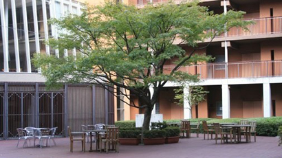 筑波大學(xué)logo圖片